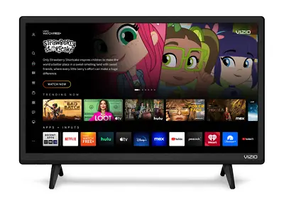 VIZIO D-Series 24  Inch 1080p Full HD LED Smart TV Smartcast Chromecast Airplay • $70.58