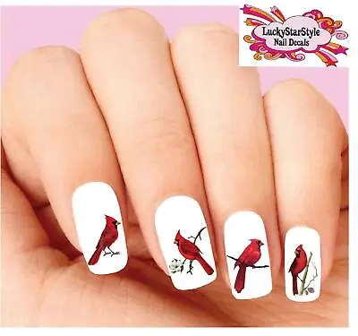 Waterslide Bird Nail Decals Set Of 20 - Red Cardinal Assorted • $2