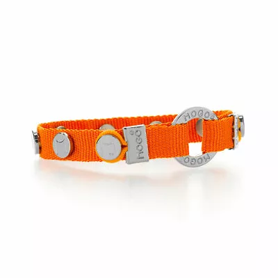 Mogo Bright Orange Charmband • $16