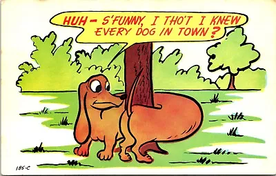 Postcard Humor Dachshund Hotdog Wrapped Around Tree B199 • $4.82