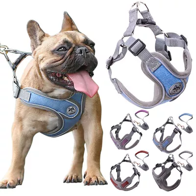 Dog Cat Soft Mesh Harness Pet Adjustable Reflective Puppy Vest Walking Leash Set • £6.99