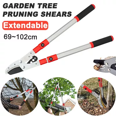 Extendable Garden Scissor Sharp Tree Pruning Shears Branch Trimmer Flower Cutter • £17.69