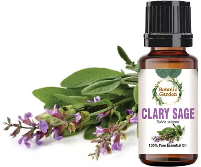 Clary Sage Or Salvia Sclarea Essential Oil For Stress Reduction 100% Pure Oil • $319.11