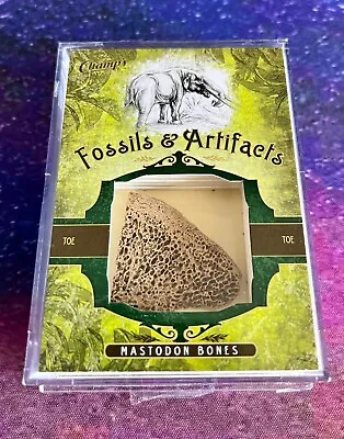 2011 Parkhurst Champions Fossils & Artifacts Redemption Mastodon Toe Bone FA-MA • $182.07