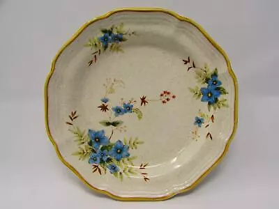 Day Dreams By Mikasa Salad Plate Garden Club Blue Flowers On Tan  Scalloped B352 • $6.71