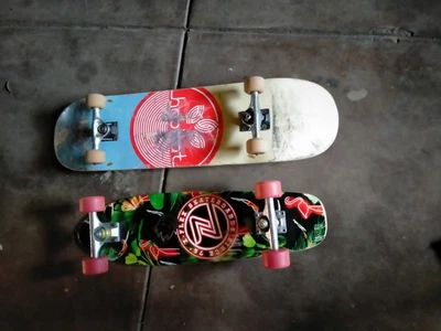 $40 • Buy Skateboards X 2 Z Flex + Habitat Long Board