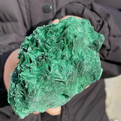 469G Natural Glossy Malachite Cat Eye Transparent Cluster Rough Mineral Sample • $0.99