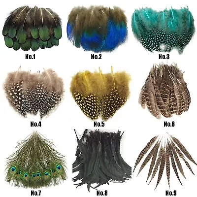 Natural Pheasant Rooster Feathers Chicken Fascinator Costume Crafts • £13.18