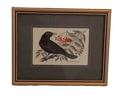 J&J Cash's Collector Range Jacquard Loom Woven Blackbird Framed Picture • £14