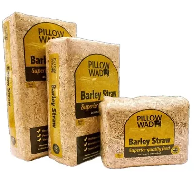 Pillow Wad Barley Straw Quality Dried Animal Pet Natural Bedding Feed • £7.15