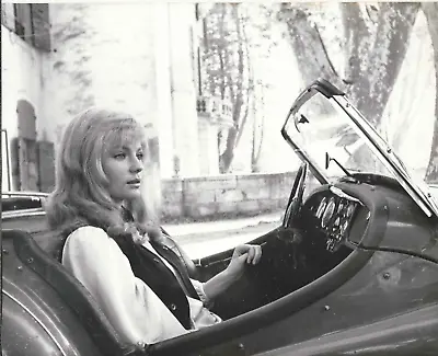 $7.32 • Buy Jaqueline Bisset Sexy In Car  10x8  Rare Vintage Photo
