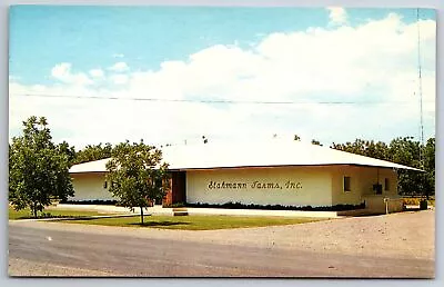 $11 • Buy Las Cruces NM~Stahmann Farms Inc Roadside Building~Del Cerro Pecans~1950s
