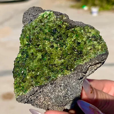 298G Natural And Rare Beautiful Museum Grade Olive Green Olivine Crystal • $12.50