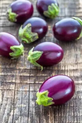 Mini Bambino Eggplant Aubergine10 Seeds-petite Eggplants Fantastic For Grilling • £2.99