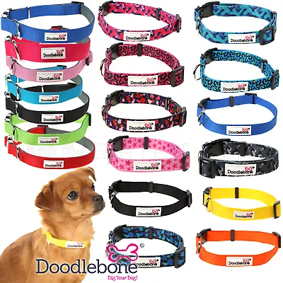 £4.45 • Buy Doodlebone Collar Dog Puppy Bold Or Padded Durable Nylon Adjustable  3 Sizes