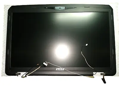 MSI GT70 2PC Dominator 17.3    Screen Complete Assembly • $149.99