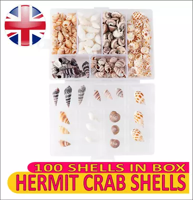 100 X SHELLS IN BOX FOR HERMIT CRABS MARINE AQUARIUM CRAFT CERITH REEF FISH • £9.99