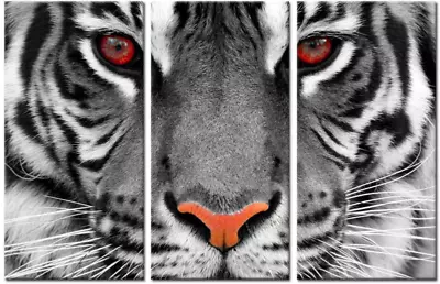 Kreative Arts Large 3 Pieces Canvas Prints Wall Art Red Eyed Tiger Poster Printe • $51.98