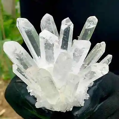 New Find White Phantom Quartz Crystal Cluster Mineral Specimen Healing 300g+ 1pc • $37.05