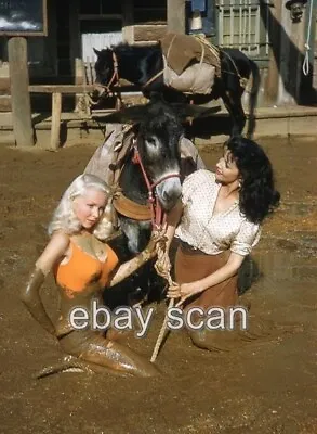 Joi Lansing Mari Blanchard Mud Wrestling    8x10 Photo 11 • $14.99