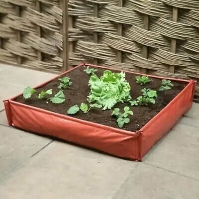 Haxnicks Raised Planter Box Garden Vegetable Flower Strawberry Plant Outdoor Bed • £18.74