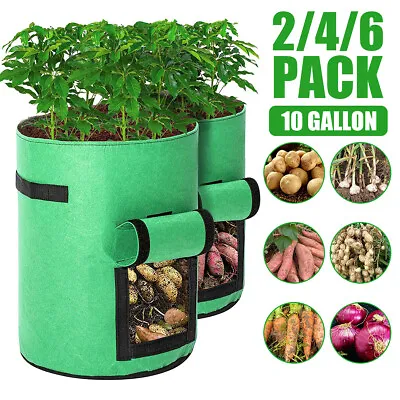 10X Plant Grow Bags Potato Fruit Vegetable Garden Planter Growing Bag 10 Gallon • £19.99