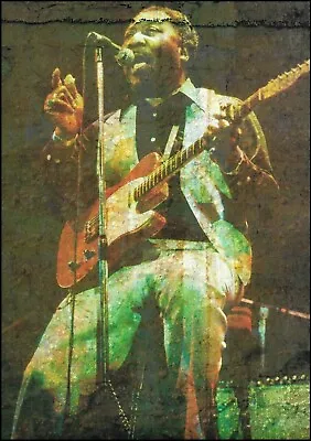 Muddy Waters Live Onstage With Fender Telecaster Guitar 8 X 11 Pin-up Photo • $4