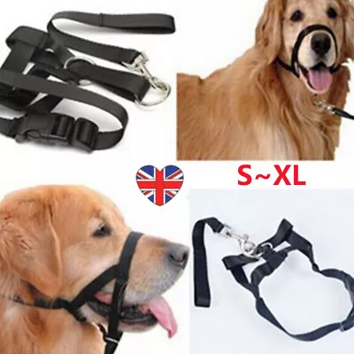 Dog Halter Halti Training Head Collar Gentle Leader Harness Nylon Collars • £7.59