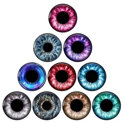 10Pcs Flat Glass Cabochon Back Making Findings Dragon Animal Dolls Toy Eyes • $17.98