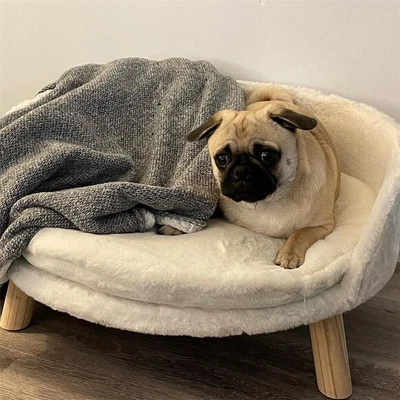 $39.97 • Buy Pet Sofa Bed Raised Cat Chair Small Dog Couch Bed Removable Cushion Seat Lounger