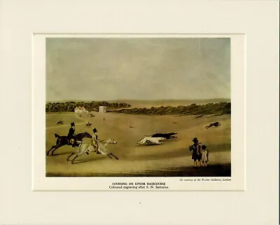 Greyhound Coursing On Epsom Racecourse 1940's Dog Print Mounted Ready To Frame • £5.99