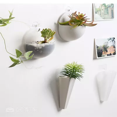Wall Mounted Mini Vase Wall Hanging Planter Plant Flower Pot Small Plants • £6.25