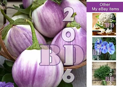 EGGPLANT Seeds Aubergine 50 Pcs  Round White Round Rose Shaded Garden Vegetable • £2.59