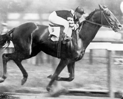 Man O' War Memorial At Kentucky Horse Park 8x10 Picture Celebrity Print • $3.99