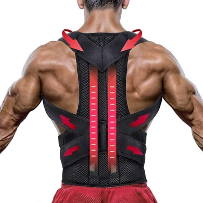 Back Support Brace Belt Lumbar Lower Back Waist Pain Relief Strap Sciatica Work • $18.48