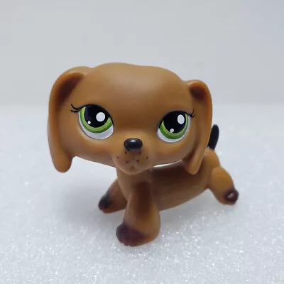 LPS Toys Pet Shop #139 Dachshund Dog Brown With Green Eyes  Freckles Rare Puppy • £10.79