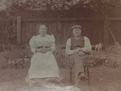 Camberwell 1894 Photo Elmington Road Mr & Mrs Kinders (?) Jack Russell Dog • £10