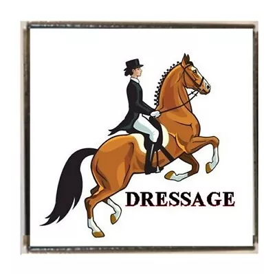 Dressage Event Horse Games Silver Colour Square Badge With A Velvet Bag • £3.99