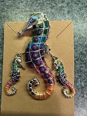 Colorful Seahorse Magnetic Pin AndPierced Earring Set • $15