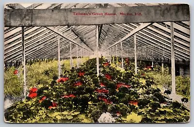 Marion Indiana~Teilmans Green House Interior~Flower Bed Scene~c1910 Postcard • $11