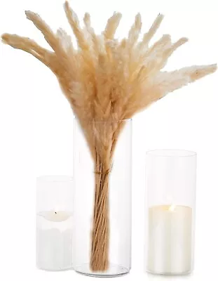 Esmiome - Cylinder Vases For Centerpieces 3Pcs/Set Hurricane Floating Candle... • $9.95