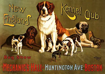 Kennel Club Dog Show Vintage A4 Poster Print • £3.50