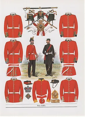 Vintage British Uniform Print 1856 Infantry Of The Line Officers • £27
