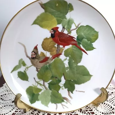 Kaiser Glen Loates CARDINAL Feathered Friends Collector Plate Ltd Edition 2358 • $49