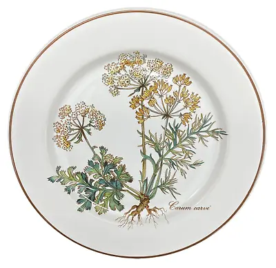 Villeroy & Boch Botanica Bread & Butter Plate • $14.70