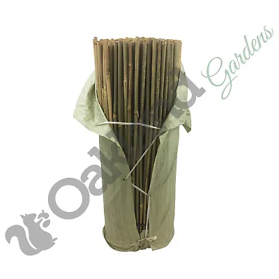 3ft Bamboo Garden Canes Stake Plant Flower Support Stick Thick 14-16mm Qty = 40 • £16.95