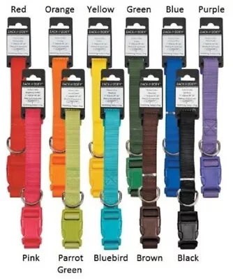 Nylon Dog Collars By Zack & Zoey 4 Sizes 11 Colors • $8.99