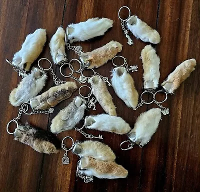 Real Rabbits Foot Key Chain With Charm Lucky • $5