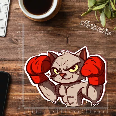 Boxer Athlete Kitty Wearing MMA And Box Equipment Sticker 4 -11.8  (up To 47 ) • $4.50