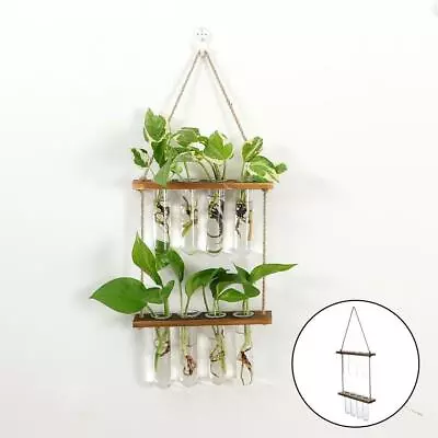 £14.40 • Buy Wall Hanging Planter, 2 Tiered Plant Propagation Stations, Plant Terrarium With